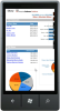 Windows Phone 7 SSRS Viewer Portrait