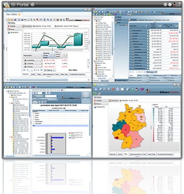 Business Intelligence Portal