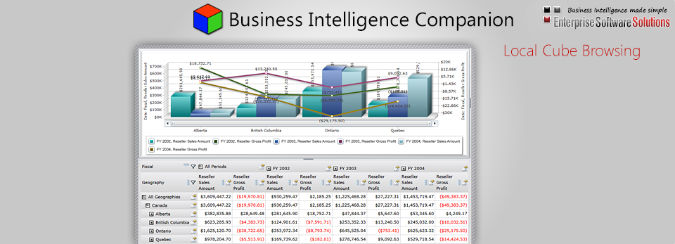 Business Intelligence Companion Local Cube Browsing