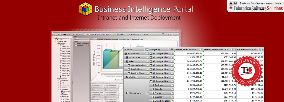 BI Portal Intranet & Internet Deployments