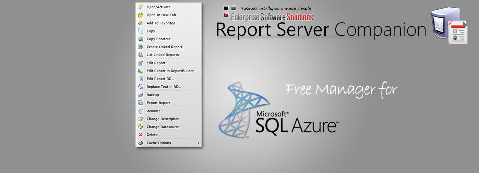 Companion for MS Reporting Services Free for Azure Edition