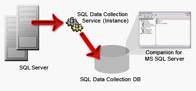 Companion for MS SQL Services